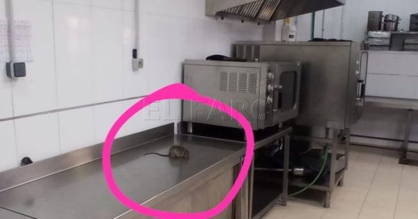 Pillan a una rata en la cocina de la cárcel de Melilla