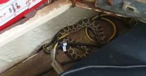 Aparece una serpiente en la cárcel de Melilla